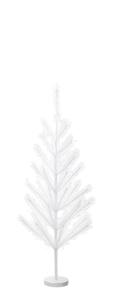 White Pompass Tree - 3'