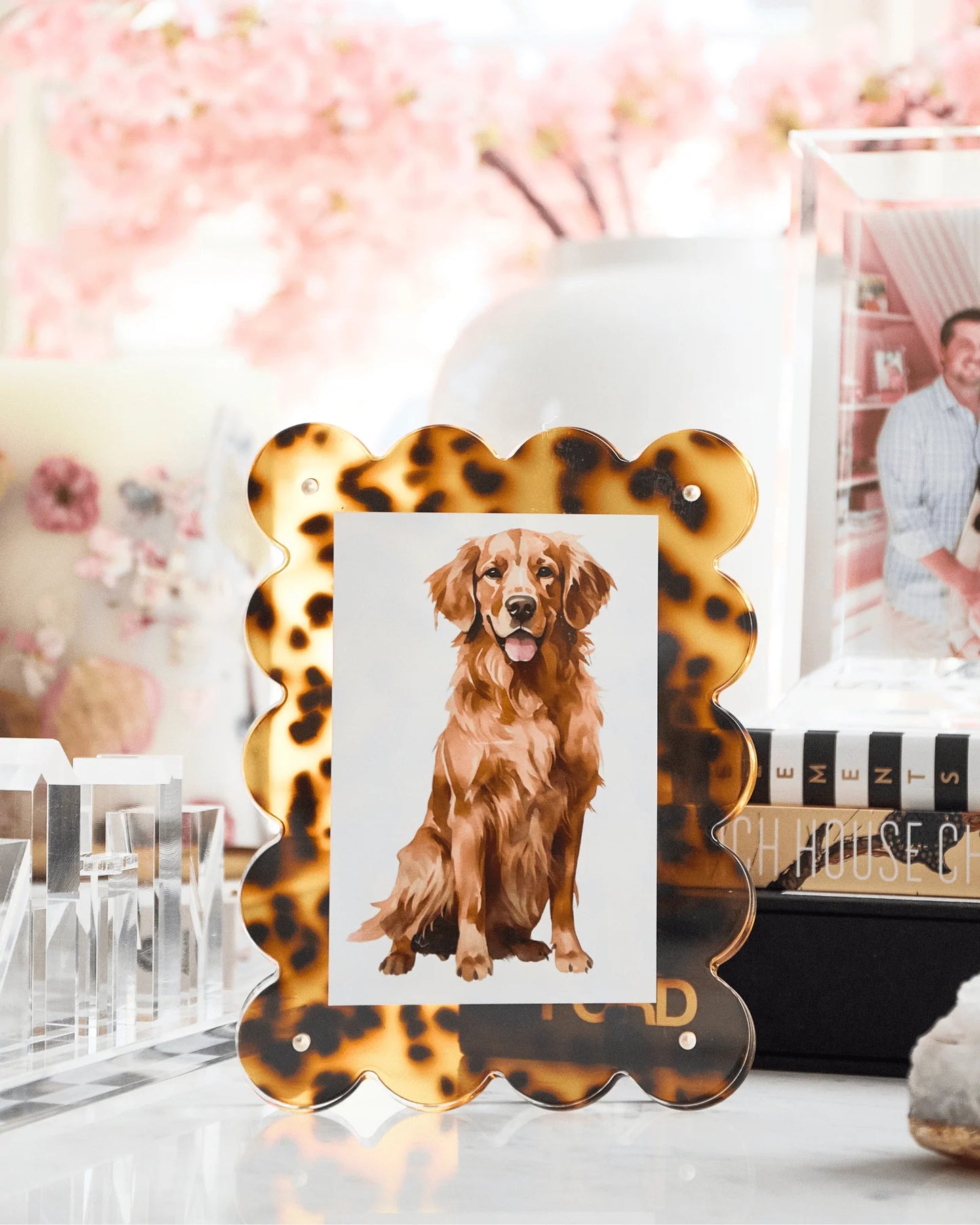 Acrylic Picture Frame Tortoise